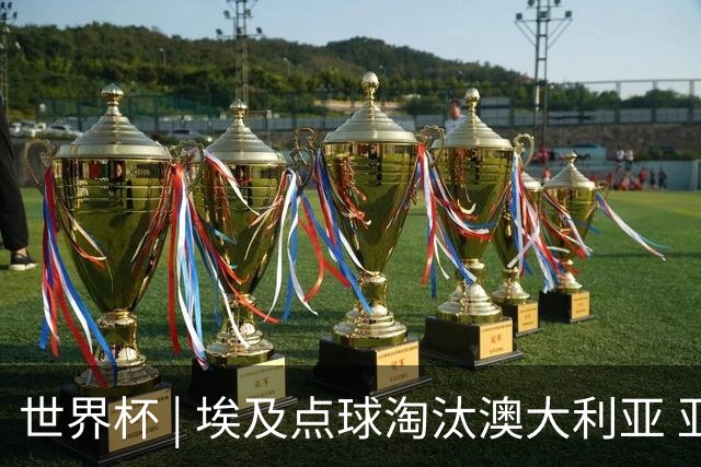 世界杯 | 埃及点球淘汰澳大利亚 亚洲区球队全部出局