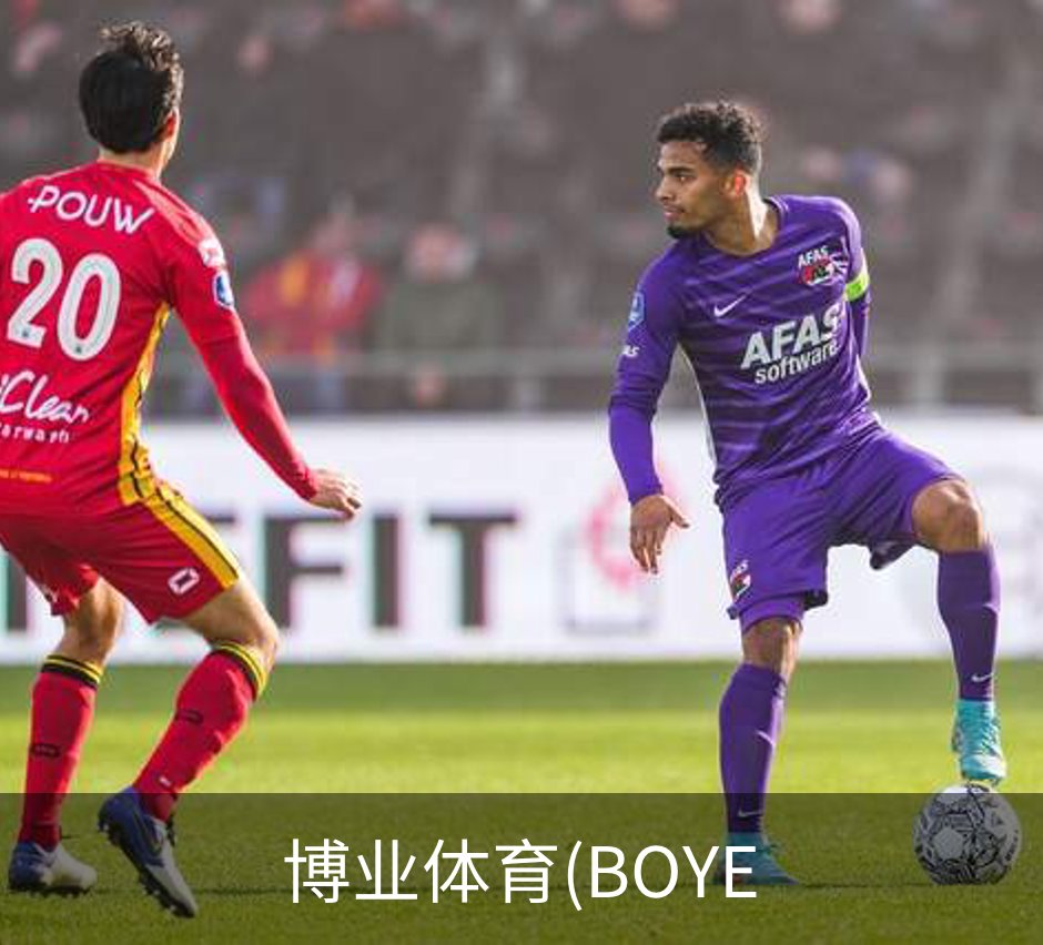 博业体育(BOYE简介